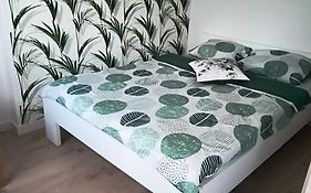 Apartament Palmowy Harnaś